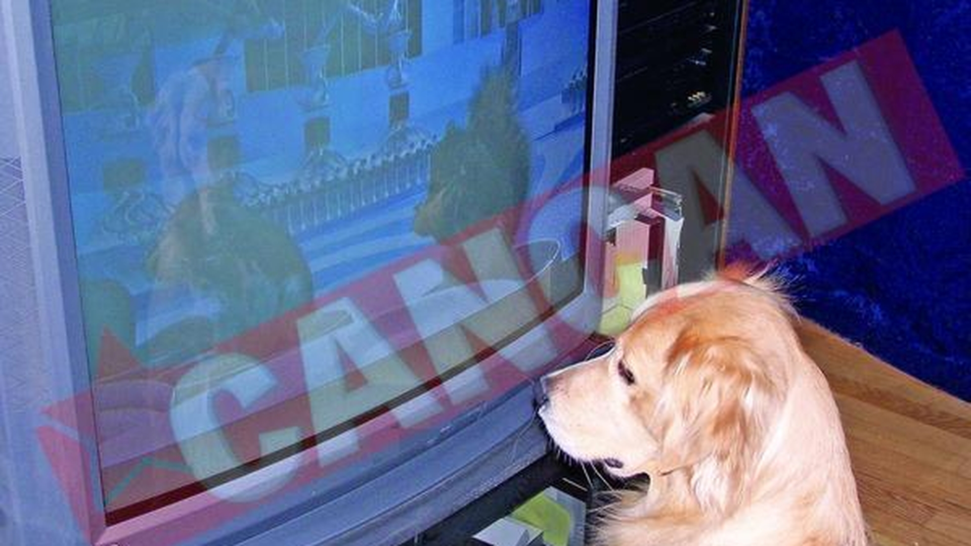 Liber la moguli pe piata TV?