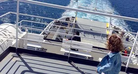 Galerie foto - poza 3