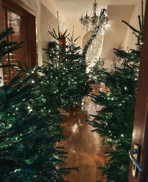 Cum arată casa în care locuiesc Adelina Pestrițu și Virgil Steblea. Vila are un living spațios și un dressing imens