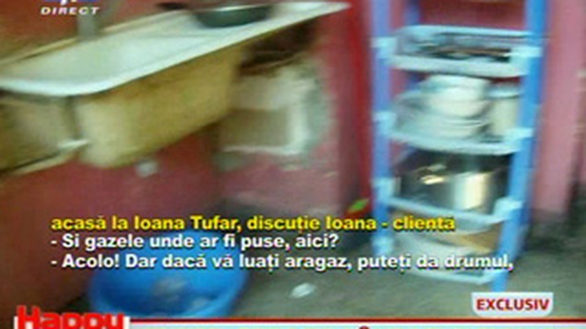 Nu ai vazut asa ceva in viata ta! Apartamentul Ionei Tufar e plin de gandaci si nu are apa si gaze! Cainele face pipi pe jos, in bucatarie!