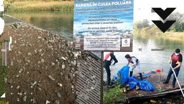 Ei sunt voluntarii care strâng peturile de pe Jiu. Să nu ajungă niciun plastic în Dunăre