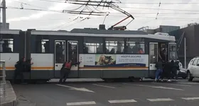 Galerie foto - poza 2