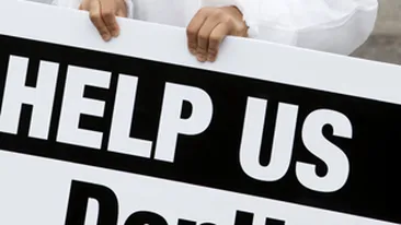 O suta de caini si pisici au cerut ajutor in centrul Londrei