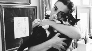 Ana Morodan este în doliu. Motanul ei a avut parte de o moarte violentă, dar rapidă