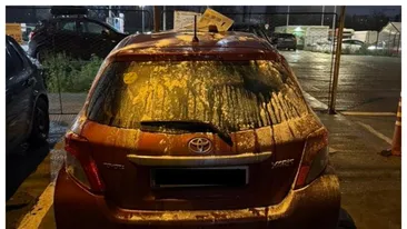 Cum s-a răzbunat o ieșeancă pe iubita ei infidelă: ”Cine e Sara, de ce m-ai înșelat?”