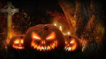 I-a taiat gatul intr-o parcare in fata a trei baieti de cartier! Cum s-a transformat o farsa de Halloween in cel mai mare cosmar!