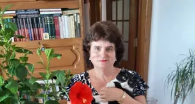 Galerie foto - poza 3