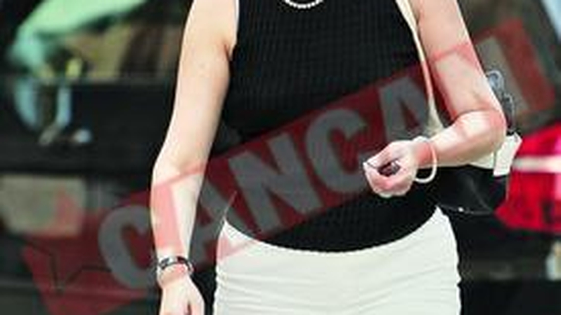 Anca Boagiu a declarat razboi maidanezilor