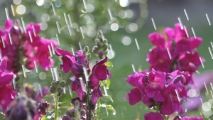 METEO 4 aprilie. Au venit iarăşi ploile iar temperaturile au scăzut peste tot