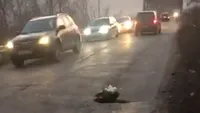 VIDEO. Protest inedit: Mai mulţi tineri au plantat crizanteme în gropile de pe drumul Craiova-Cetate