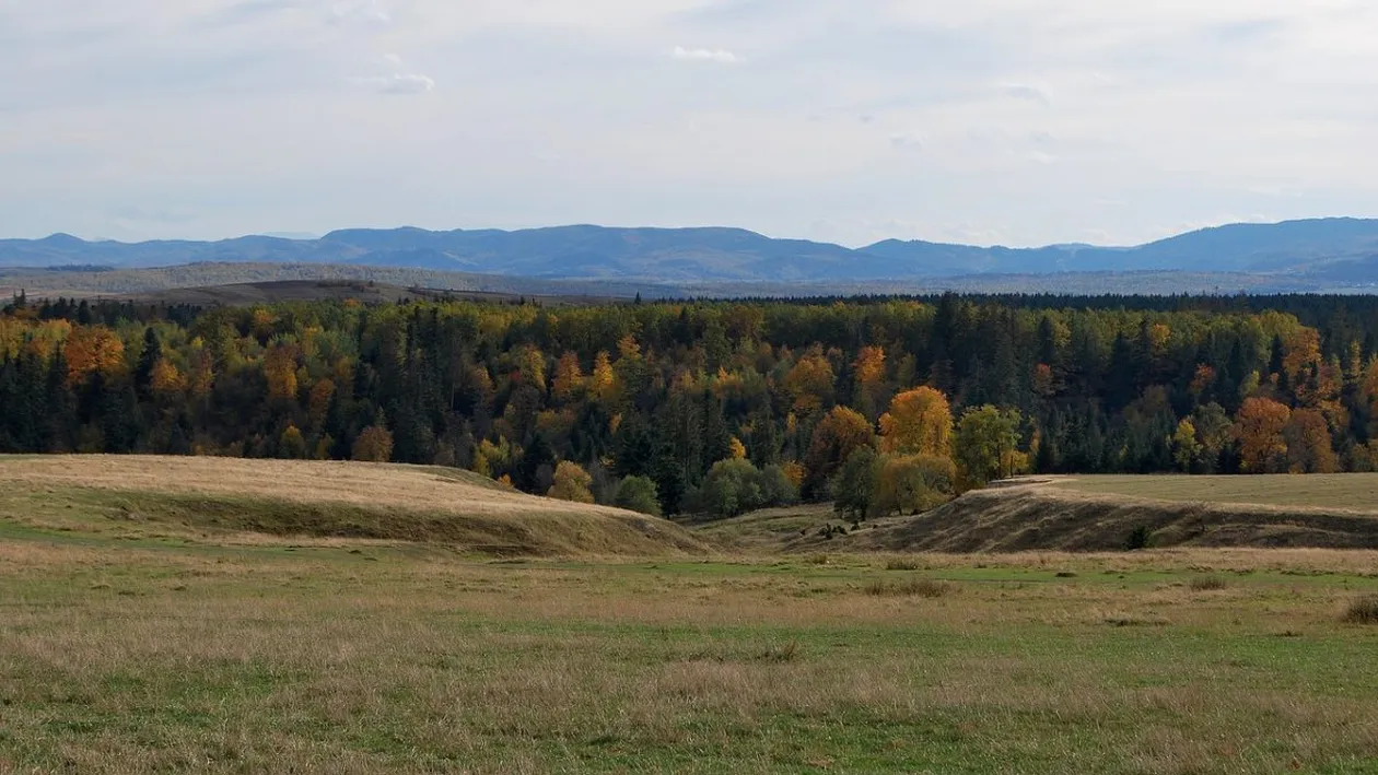 Ce a făcut un primar din Iași! Până și străinii vor să se mute acolo, comparând zona cu una din Austria