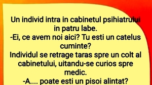 BANC | "Ei, ce avem noi aici? Tu ești un cățeluș cuminte?"