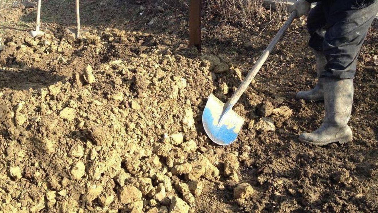 Ieșeanul care și-a îngropat soția de vie și-a aflat soarta. Ce au decis magistrații în procesul său