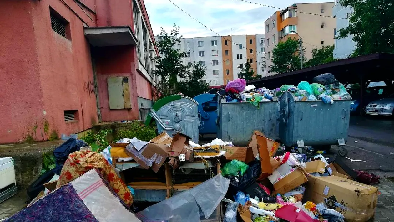 O româncă riscă să fie amendată pentru că a strâns gunoiul de pe stradă la Roma