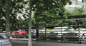 Galerie foto - poza 4