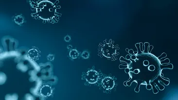 Descoperire uluitoare făcută de cercetători! Un coronavirus antic ar fi afectat omenirea în urmă cu mii de ani