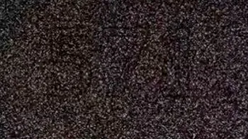 Test de inteligență | Doar 1% dintre oameni poate spune ce număr se ascunde în această iluzie optică