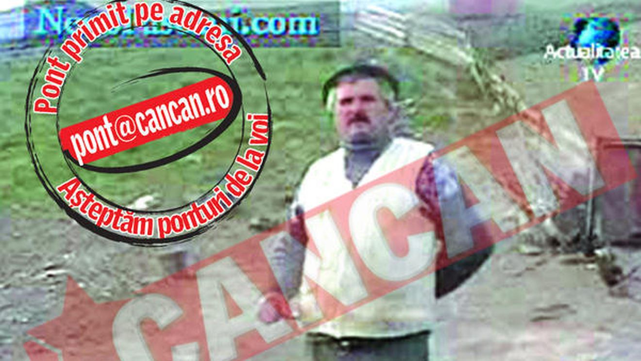 Masacru canin la Pascani