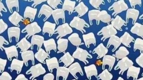 Iluzia optică a zilei | O meduză este ascunsă în această imagine. Tu reuşeşti să o găseşti?