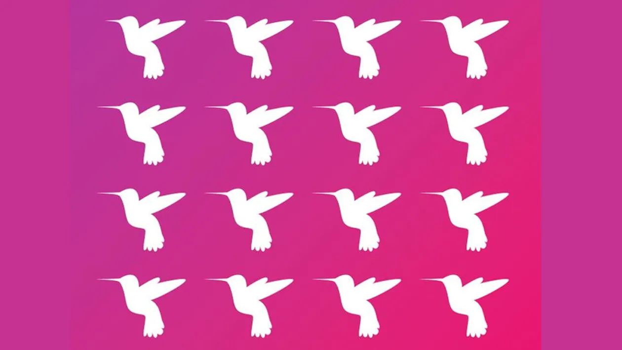 Test de logică | În această poză sunt 16 păsări, dar una e diferită de celelalte. Care?