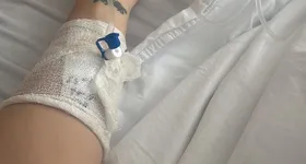 Galerie foto - poza 3