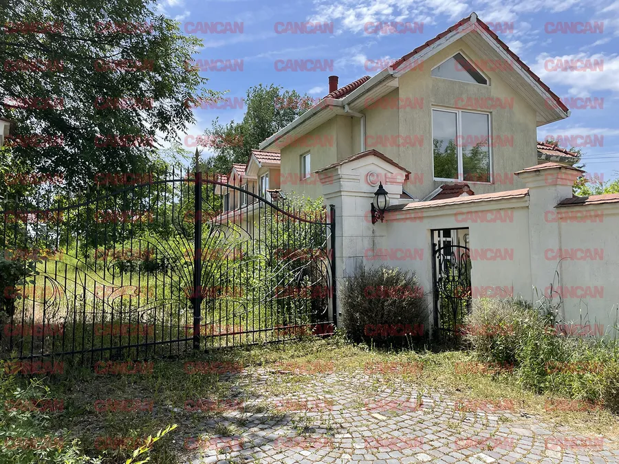 Fosta vilă a lui Irinel Columbeanu este părăsită