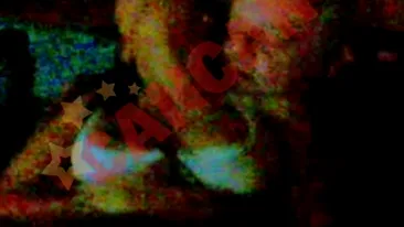 Monica Columbeanu a divortat de Irinel! Dupa cinci ani de casnicie in lux alaturi de milionarul de la Izvorani, Moni a decis sa inceapa o viata noua