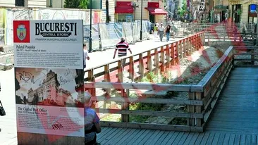 Centrul istoric, napadit de buruieni si gunoaie