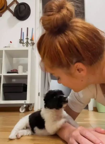 Doina Teodoru, gest emoționant pentru un pui de cățel: „Am zis că doar o salvez”