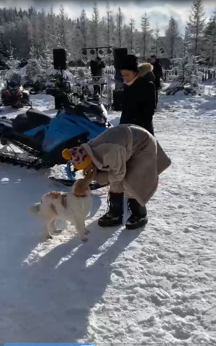 Un cățeluș i-a ieșit în cale și nu a mai scăpat de el