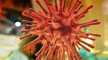 S-a modificat bilanțul deceselor cauzate de noul coronavirus! Anunțul făcut de oficiali