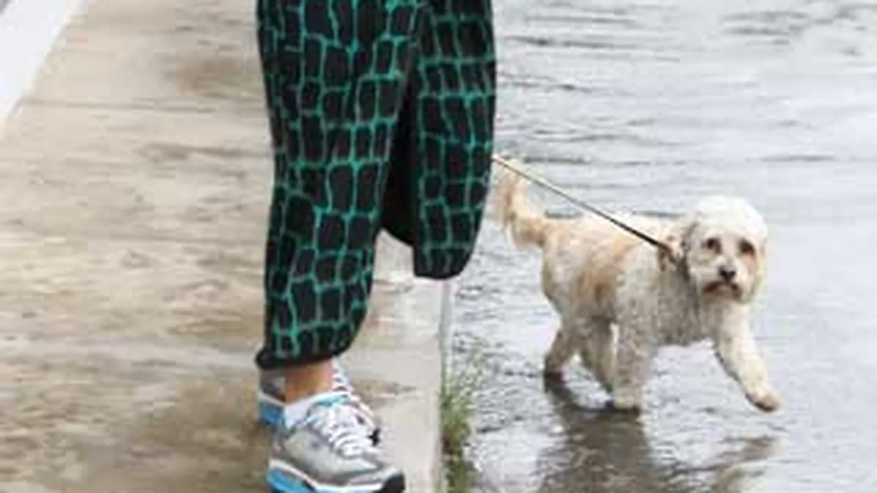 Fosta nevasta a Terminatorului e... terminata