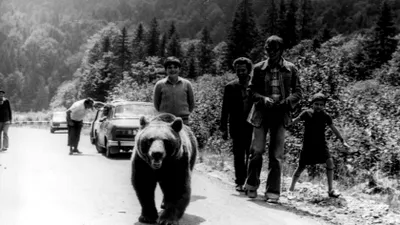 Fotografii epice de pe Transfăgărășan, realizate acum 50 de ani, înainte de inaugurare: „Urșii se obișnuiau pe atunci cu zgomotul dinamitei”