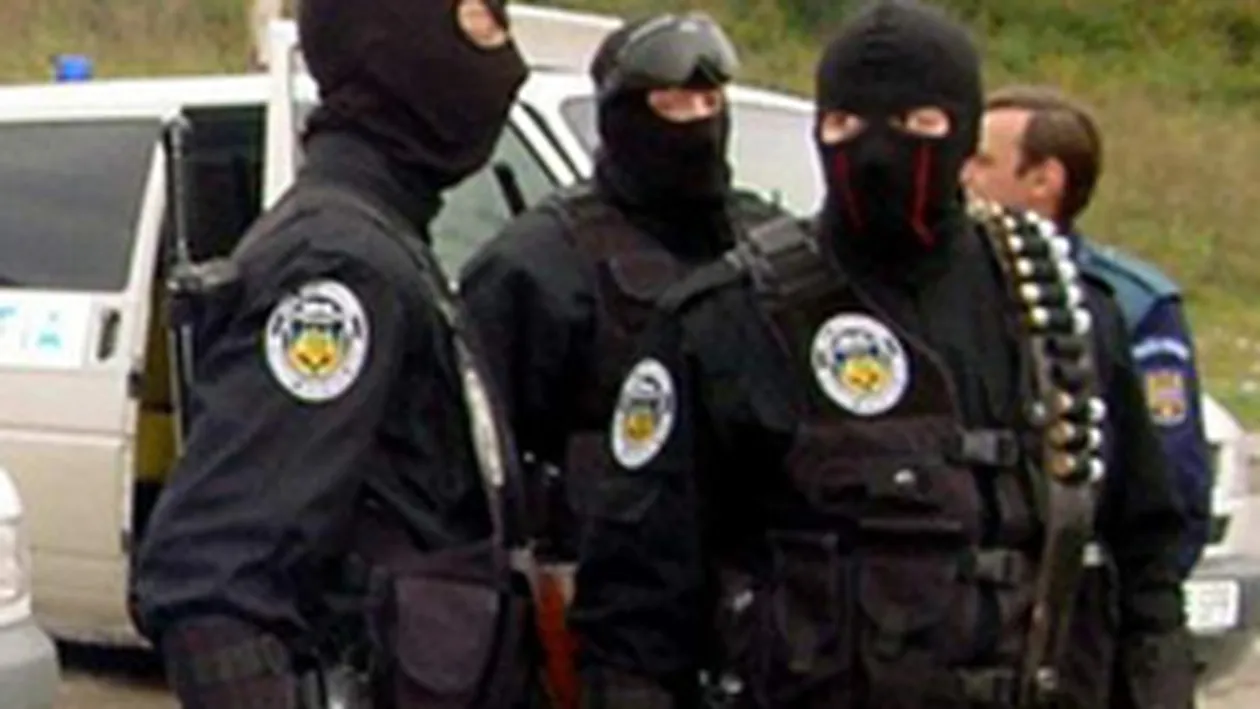 Perchezitii in Ilfov, Dambovita si Constanta. Cinci persoane sunt suspectate de trafic cu masini inchiriate