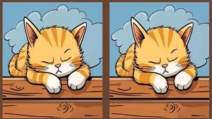 Test de perspicacitate | Găsiți toate cele 3 diferențe între cele două pisici din imagine, în maximum 23 de secunde