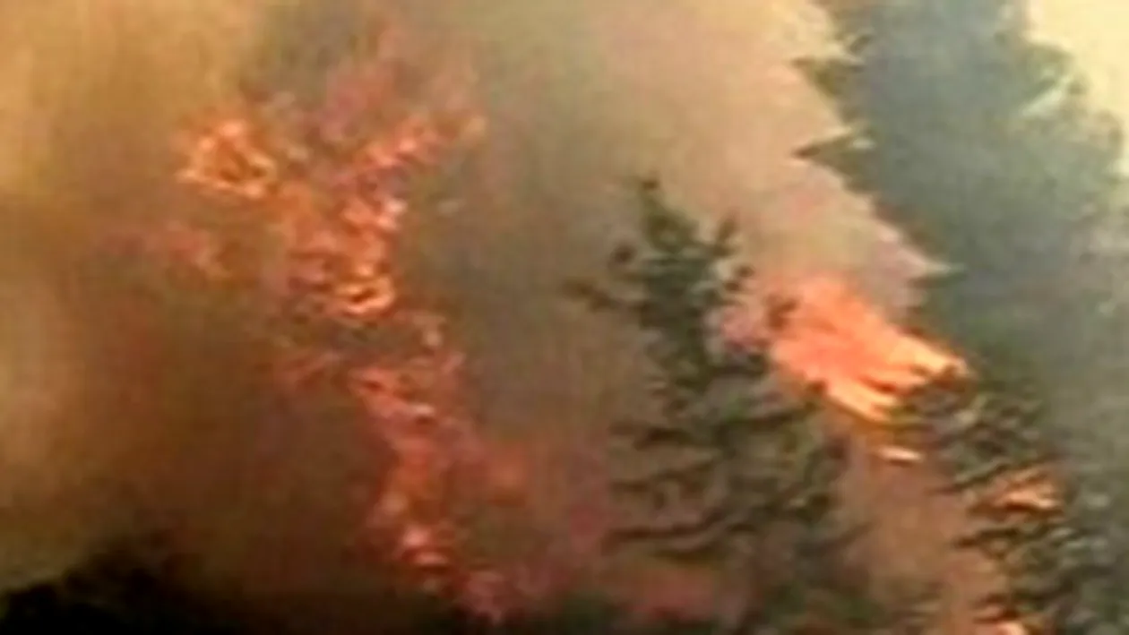 Doi morti, zeci de raniti si sute de oameni evacuati in urma incendiilor de vegetatie din Rusia
