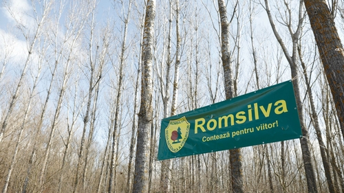 Prime colosale la pensionare pentru angajații Romsilva: 100.000 de euro