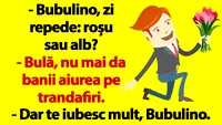 BANC | Bulă, nu mai da banii aiurea pe trandafiri!