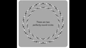 Iluzia optică ce îţi testează IQ-ul. Câte cercuri vezi în această imagine?