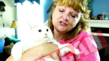 Pisica de 20 de kilograme isi cauta stapan