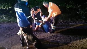 Un biciclist căzut în munți a fost salvat de câinele jandarmilor