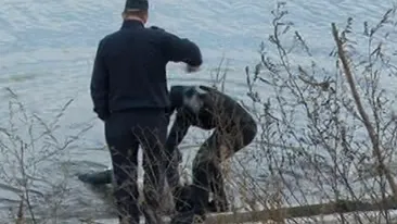 Descoperire socanta in Capitala! O femeie a fost gasita moarta in Lacul Morii