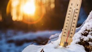 Prognoza meteo marți, 23 februarie 2021. Vremea se încălzește. Temperaturi ridicate în majoritatea zonelor țării