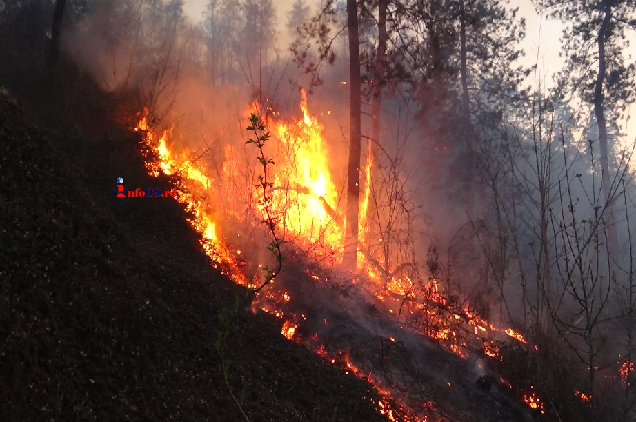 Incendiu puternic la marginea Reșiței, 150 de case în pericol. Culmea, localnicii fac selfie-uri | VIDEO