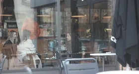 Galerie foto - poza 2