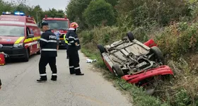 Galerie foto - poza 2