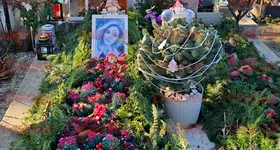 Galerie foto - poza 2