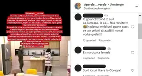 Galerie foto - poza 4