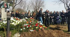 Galerie foto - poza 3