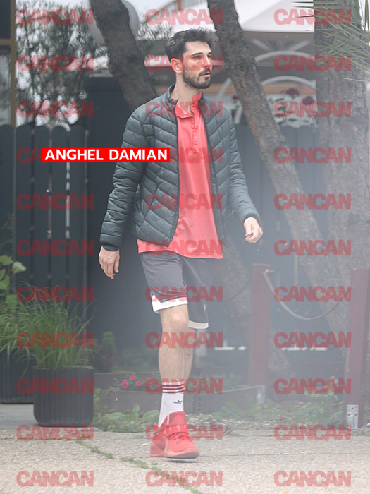 Anghel Damian, un actor apreciat